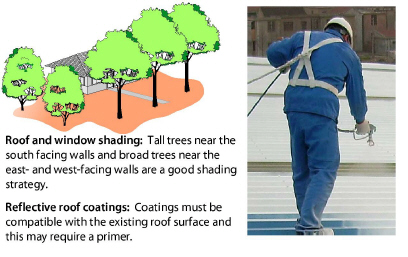 AtticsRoofs00063.jpg