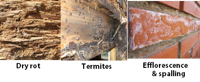 HealthSafety00006.jpg